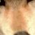 Profile picture of ezyzume